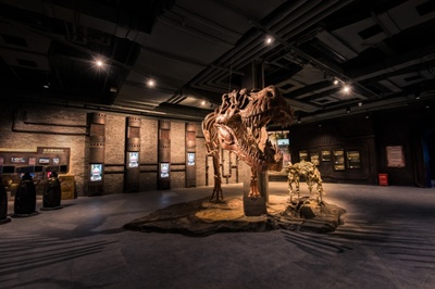 幻境×知学 中国首个沉浸产业研学——上海沉浸产业深度游学与恐龙园文化旅游融合新探索