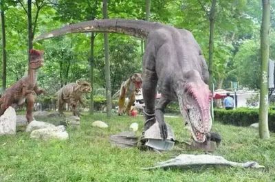 东钱湖夏日狂欢 水上乐园、农耕水车与免费恐龙园门票等你来